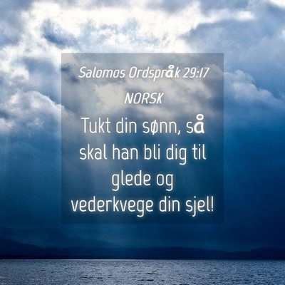 Picture 04 - Salomos Ordspråk 29:17 NORSK - Tukt din sønn, så skal han bli dig til glede og - Bible Verse Picture