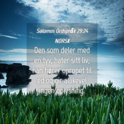 Picture 04 - Salomos Ordspråk 29:24 NORSK - Den som deler med en tyv, hater sitt liv; han - Bible Verse Picture