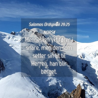 Picture 04 - Salomos Ordspråk 29:25 NORSK - Menneskefrykt fører i snare, men den som setter - Bible Verse Picture