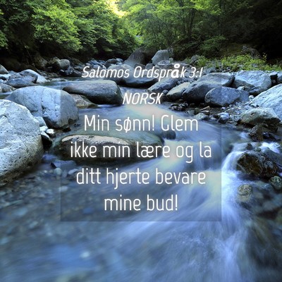 Picture 04 - Salomos Ordspråk 3:1 NORSK - Min sønn! Glem ikke min lære og la ditt hjerte - Bible Verse Picture