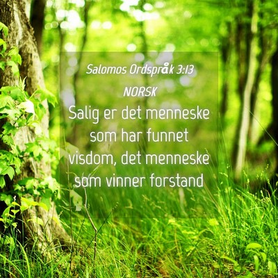 Picture 04 - Salomos Ordspråk 3:13 NORSK - Salig er det menneske som har funnet visdom, det - Bible Verse Picture