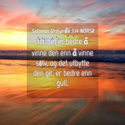 Picture 04 - Salomos Ordspråk 3:14 NORSK - for det er bedre å vinne den enn å vinne sølv, - Bible Verse Picture