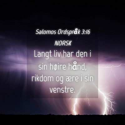 Picture 04 - Salomos Ordspråk 3:16 NORSK - Langt liv har den i sin høire hånd, rikdom og - Bible Verse Picture