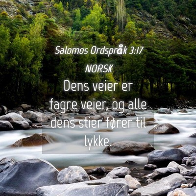 Picture 04 - Salomos Ordspråk 3:17 NORSK - Dens veier er fagre veier, og alle dens stier - Bible Verse Picture