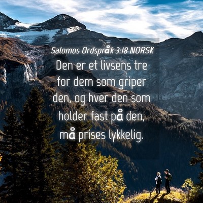 Picture 04 - Salomos Ordspråk 3:18 NORSK - Den er et livsens tre for dem som griper den, og - Bible Verse Picture