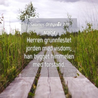 Picture 04 - Salomos Ordspråk 3:19 NORSK - Herren grunnfestet jorden med visdom; han bygget - Bible Verse Picture
