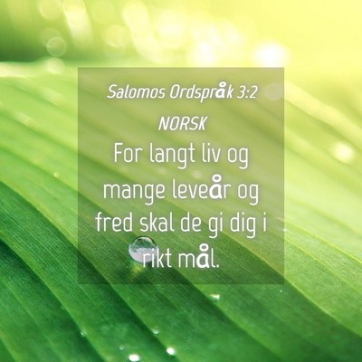 Picture 04 - Salomos Ordspråk 3:2 NORSK - For langt liv og mange leveår og fred skal de gi - Bible Verse Picture