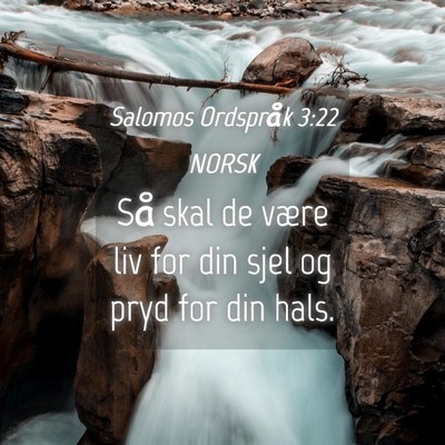 Picture 04 - Salomos Ordspråk 3:22 NORSK - Så skal de være liv for din sjel og pryd for - Bible Verse Picture