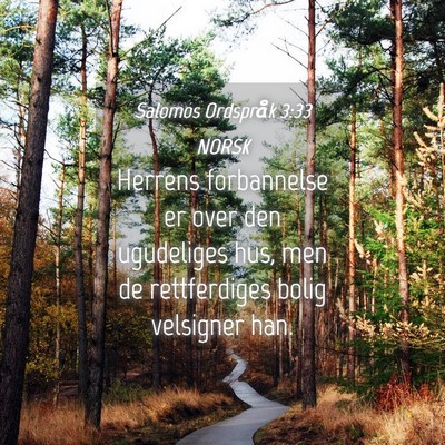 Picture 04 - Salomos Ordspråk 3:33 NORSK - Herrens forbannelse er over den ugudeliges hus, - Bible Verse Picture