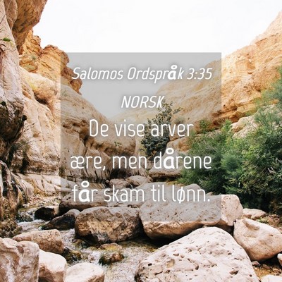 Picture 04 - Salomos Ordspråk 3:35 NORSK - De vise arver ære, men dårene får skam til - Bible Verse Picture
