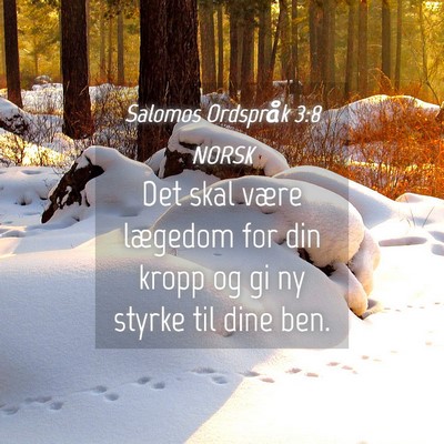 Picture 04 - Salomos Ordspråk 3:8 NORSK - Det skal være lægedom for din kropp og gi ny - Bible Verse Picture