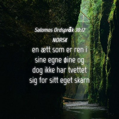 Picture 04 - Salomos Ordspråk 30:12 NORSK - en ætt som er ren i sine egne øine og dog ikke - Bible Verse Picture