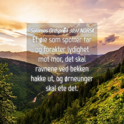 Picture 04 - Salomos Ordspråk 30:17 NORSK - Et øie som spotter far og forakter lydighet mot - Bible Verse Picture