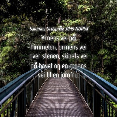Picture 04 - Salomos Ordspråk 30:19 NORSK - ¥rnens vei på himmelen, ormens vei over stenen, - Bible Verse Picture
