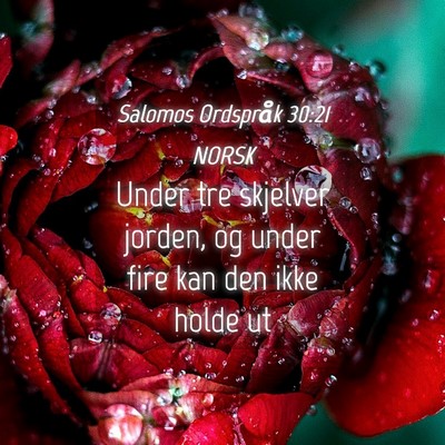 Picture 04 - Salomos Ordspråk 30:21 NORSK - Under tre skjelver jorden, og under fire kan den - Bible Verse Picture
