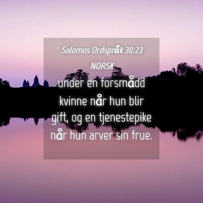 Picture 04 - Salomos Ordspråk 30:23 NORSK - under en forsmådd kvinne når hun blir gift, og - Bible Verse Picture
