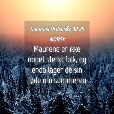 Picture 04 - Salomos Ordspråk 30:25 NORSK - Maurene er ikke noget sterkt folk, og enda lager - Bible Verse Picture