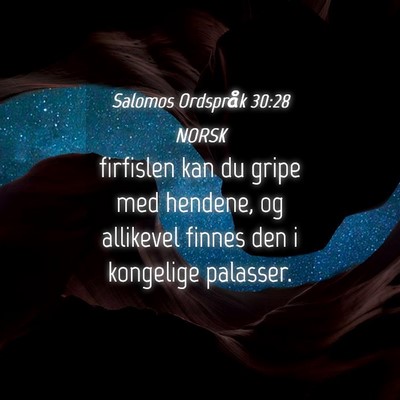 Picture 04 - Salomos Ordspråk 30:28 NORSK - firfislen kan du gripe med hendene, og allikevel - Bible Verse Picture
