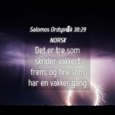 Picture 04 - Salomos Ordspråk 30:29 NORSK - Det er tre som skrider vakkert frem, og fire som - Bible Verse Picture