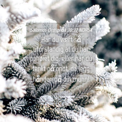 Picture 04 - Salomos Ordspråk 30:32 NORSK - Har du vært så uforstandig at du har ophøiet - Bible Verse Picture