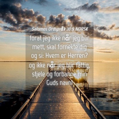 Picture 04 - Salomos Ordspråk 30:9 NORSK - forat jeg ikke når jeg blir mett, skal fornekte - Bible Verse Picture