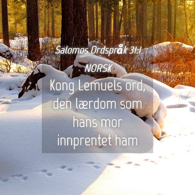 Picture 04 - Salomos Ordspråk 31:1 NORSK - Kong Lemuels ord, den lærdom som hans mor - Bible Verse Picture