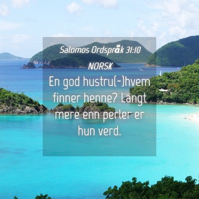 Picture 04 - Salomos Ordspråk 31:10 NORSK - En god hustru(-)hvem finner henne? Langt mere enn - Bible Verse Picture