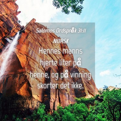 Picture 04 - Salomos Ordspråk 31:11 NORSK - Hennes manns hjerte liter på henne, og på - Bible Verse Picture
