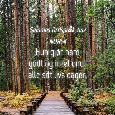 Picture 04 - Salomos Ordspråk 31:12 NORSK - Hun gjør ham godt og intet ondt alle sitt livs - Bible Verse Picture