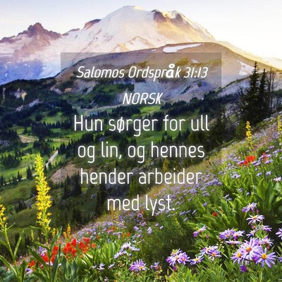 Picture 04 - Salomos Ordspråk 31:13 NORSK - Hun sørger for ull og lin, og hennes hender - Bible Verse Picture