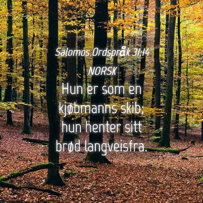 Picture 04 - Salomos Ordspråk 31:14 NORSK - Hun er som en kjøbmanns skib; hun henter sitt - Bible Verse Picture