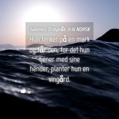 Picture 04 - Salomos Ordspråk 31:16 NORSK - Hun tenker på en mark og får den; for det hun - Bible Verse Picture