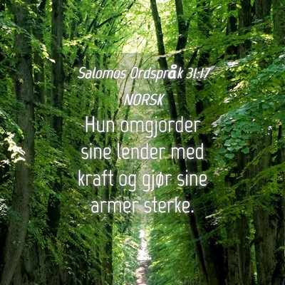 Picture 04 - Salomos Ordspråk 31:17 NORSK - Hun omgjorder sine lender med kraft og gjør sine - Bible Verse Picture