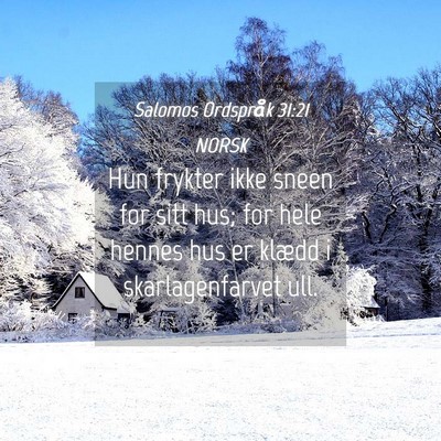 Picture 04 - Salomos Ordspråk 31:21 NORSK - Hun frykter ikke sneen for sitt hus; for hele - Bible Verse Picture