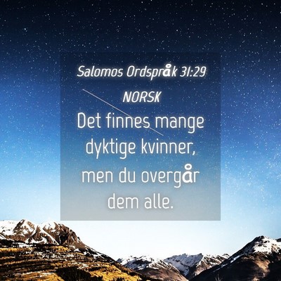 Picture 04 - Salomos Ordspråk 31:29 NORSK - Det finnes mange dyktige kvinner, men du overgår - Bible Verse Picture