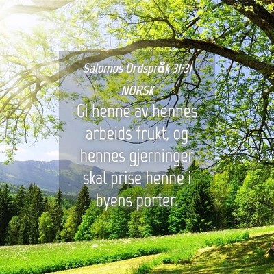 Picture 04 - Salomos Ordspråk 31:31 NORSK - Gi henne av hennes arbeids frukt, og hennes - Bible Verse Picture