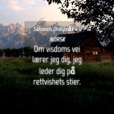 Picture 04 - Salomos Ordspråk 4:11 NORSK - Om visdoms vei lærer jeg dig, jeg leder dig på - Bible Verse Picture