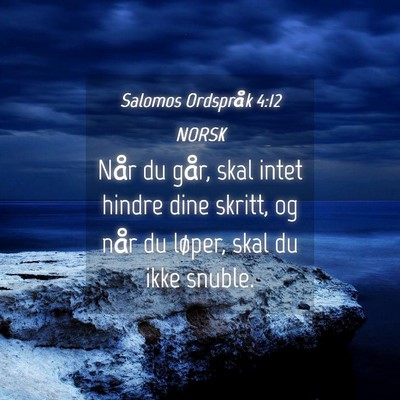 Picture 04 - Salomos Ordspråk 4:12 NORSK - Når du går, skal intet hindre dine skritt, og - Bible Verse Picture