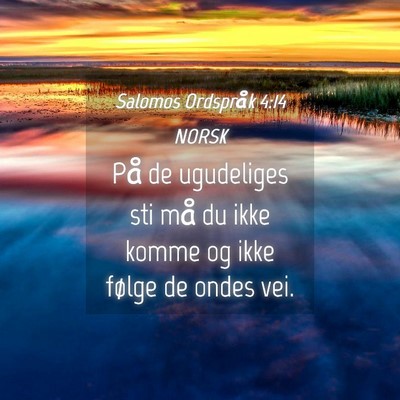 Picture 04 - Salomos Ordspråk 4:14 NORSK - På de ugudeliges sti må du ikke komme og ikke - Bible Verse Picture