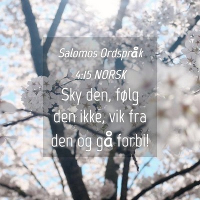 Picture 04 - Salomos Ordspråk 4:15 NORSK - Sky den, følg den ikke, vik fra den og gå - Bible Verse Picture