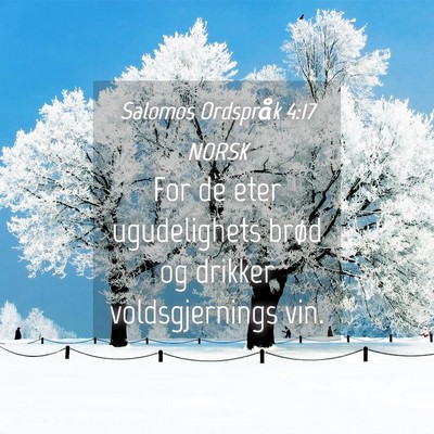 Picture 04 - Salomos Ordspråk 4:17 NORSK - For de eter ugudelighets brød og drikker - Bible Verse Picture