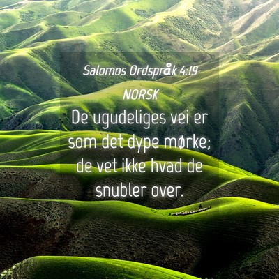 Picture 04 - Salomos Ordspråk 4:19 NORSK - De ugudeliges vei er som det dype mørke; de vet - Bible Verse Picture