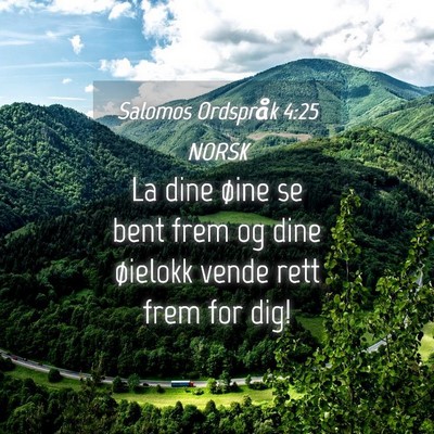 Picture 04 - Salomos Ordspråk 4:25 NORSK - La dine øine se bent frem og dine øielokk vende - Bible Verse Picture