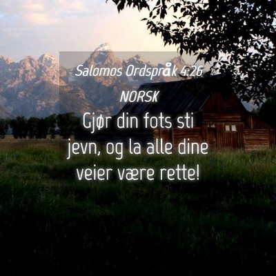 Picture 04 - Salomos Ordspråk 4:26 NORSK - Gjør din fots sti jevn, og la alle dine veier - Bible Verse Picture