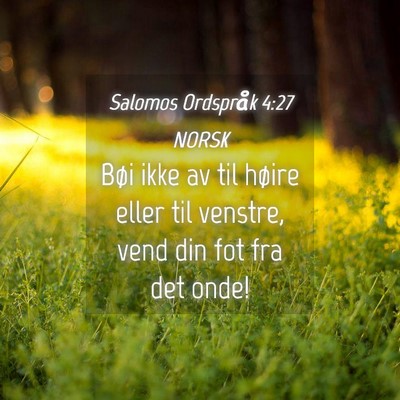 Picture 04 - Salomos Ordspråk 4:27 NORSK - Bøi ikke av til høire eller til venstre, vend - Bible Verse Picture