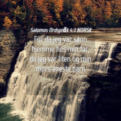 Picture 04 - Salomos Ordspråk 4:3 NORSK - For da jeg var sønn hjemme hos min far, da jeg - Bible Verse Picture