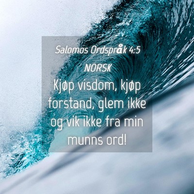 Picture 04 - Salomos Ordspråk 4:5 NORSK - Kjøp visdom, kjøp forstand, glem ikke og vik - Bible Verse Picture
