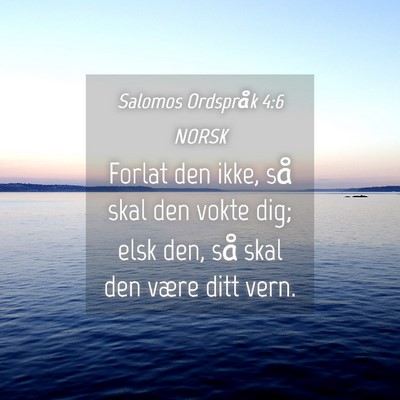 Picture 04 - Salomos Ordspråk 4:6 NORSK - Forlat den ikke, så skal den vokte dig; elsk - Bible Verse Picture