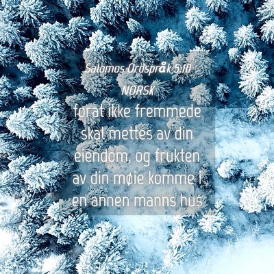 Picture 04 - Salomos Ordspråk 5:10 NORSK - forat ikke fremmede skal mettes av din eiendom, - Bible Verse Picture