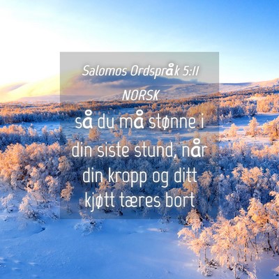 Picture 04 - Salomos Ordspråk 5:11 NORSK - så du må stønne i din siste stund, når din - Bible Verse Picture